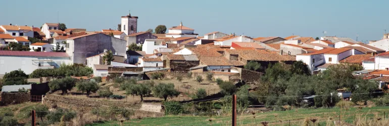 Visita